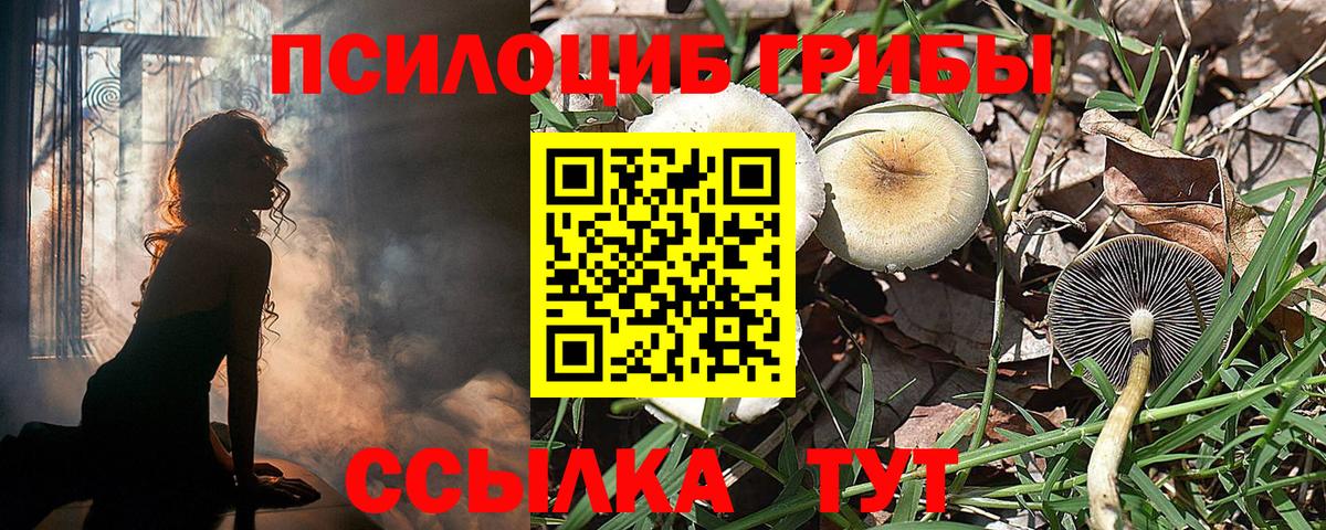 Псилоцибиновые грибы мухоморы  магазин продажи   Уварово  Вход с VPN  Псилоцибиновые грибы Cubensis 